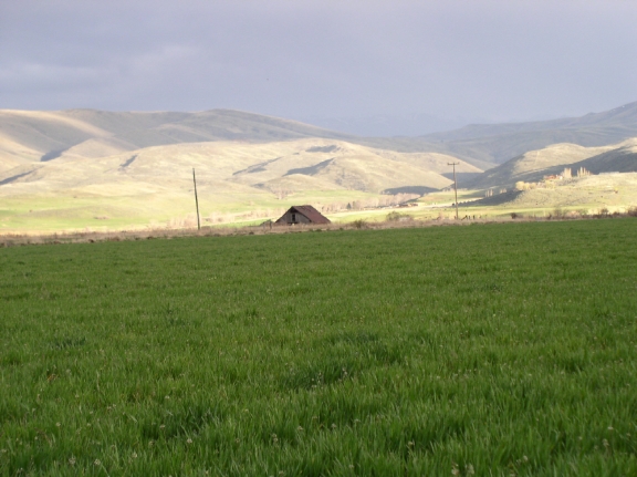 Eagle Valley, April 2006